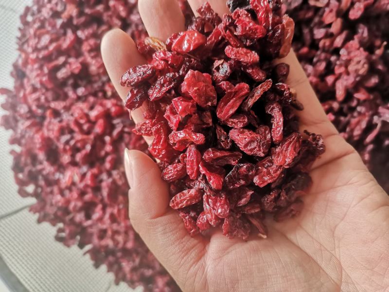 【诺一药材】山萸肉实拍视频精品药材