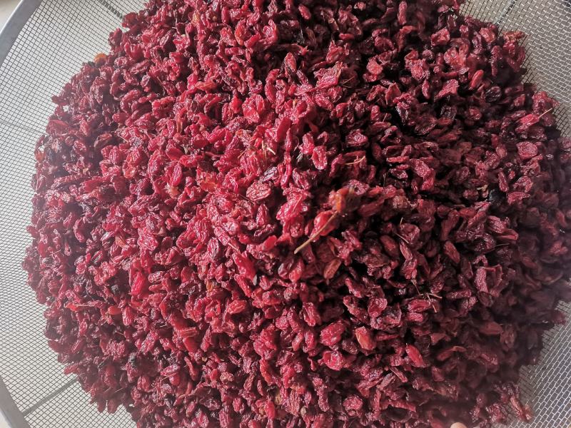 【诺一药材】山萸肉实拍视频精品药材