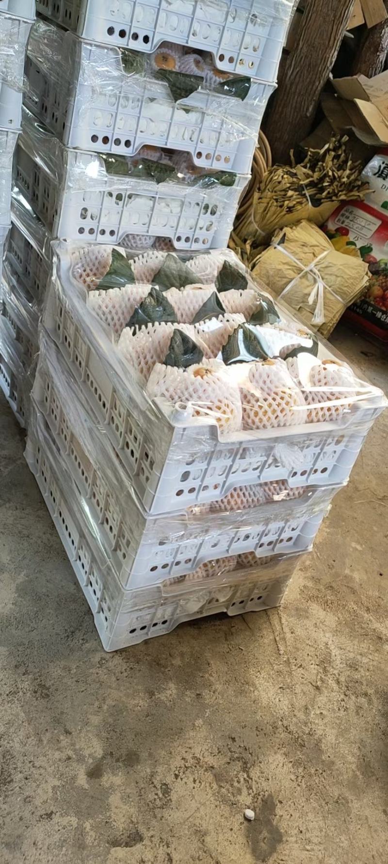 各种水果代办