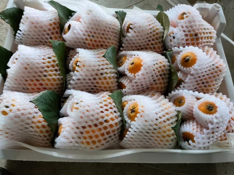 各种水果代办
