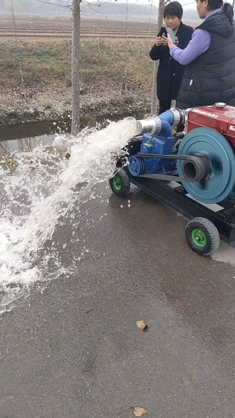 养殖抽粪排污泵吸粪泵污水泵家用抽化粪池泵便捷式小推车吸粪