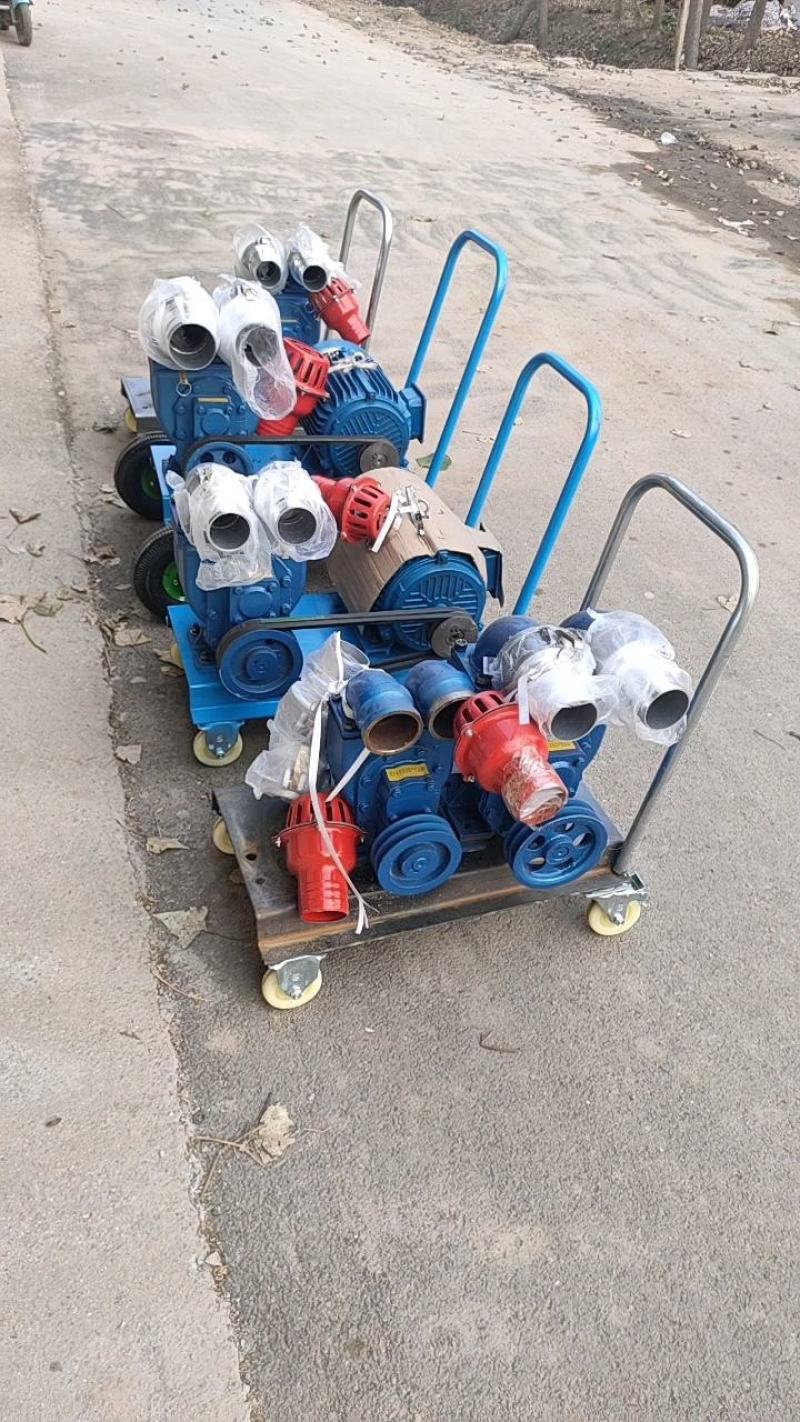 养殖抽粪排污泵吸粪泵污水泵家用抽化粪池泵便捷式小推车吸粪