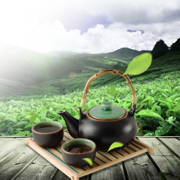 武夷岩茶