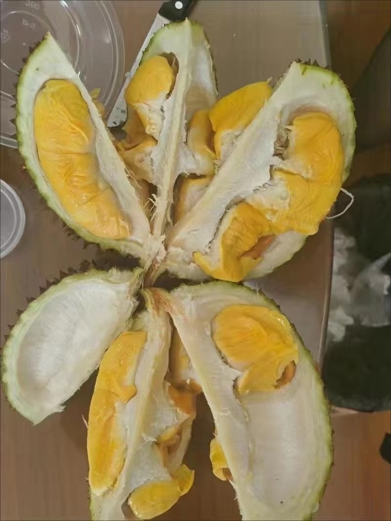 马来西亚D197猫山王榴莲批发一个代发
