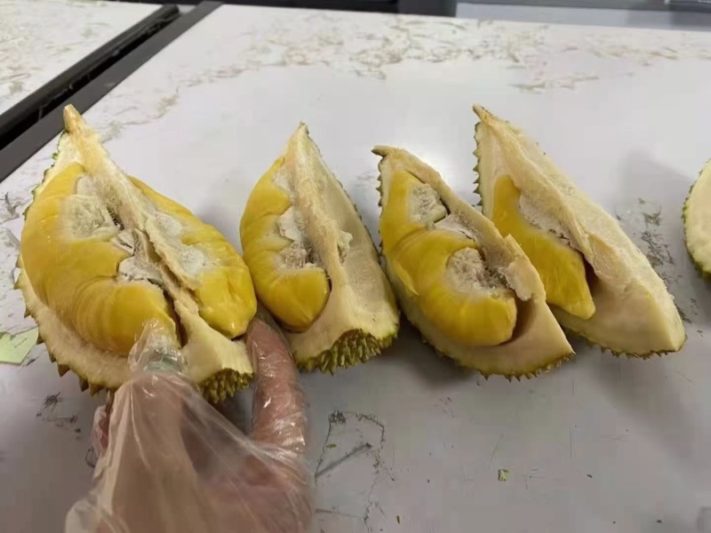 马来西亚D197猫山王榴莲批发一个代发