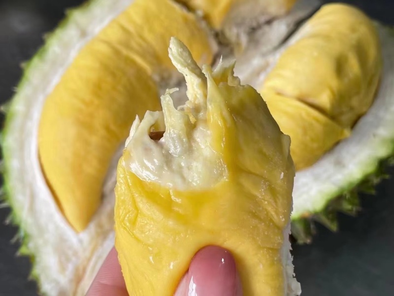 马来西亚D197猫山王榴莲批发一个代发