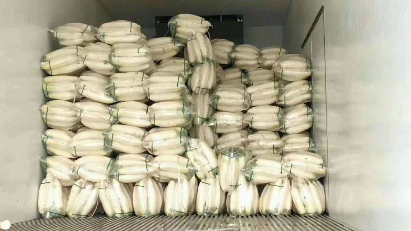 精品白萝卜，大量上市，诚信代办物美价廉。