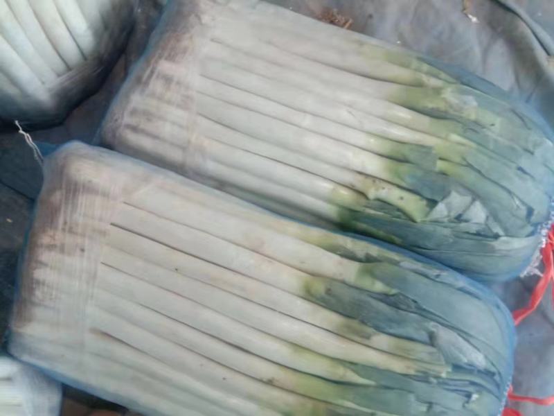 精品铁杆大葱，诚信代办，物美价廉，产地直发。
