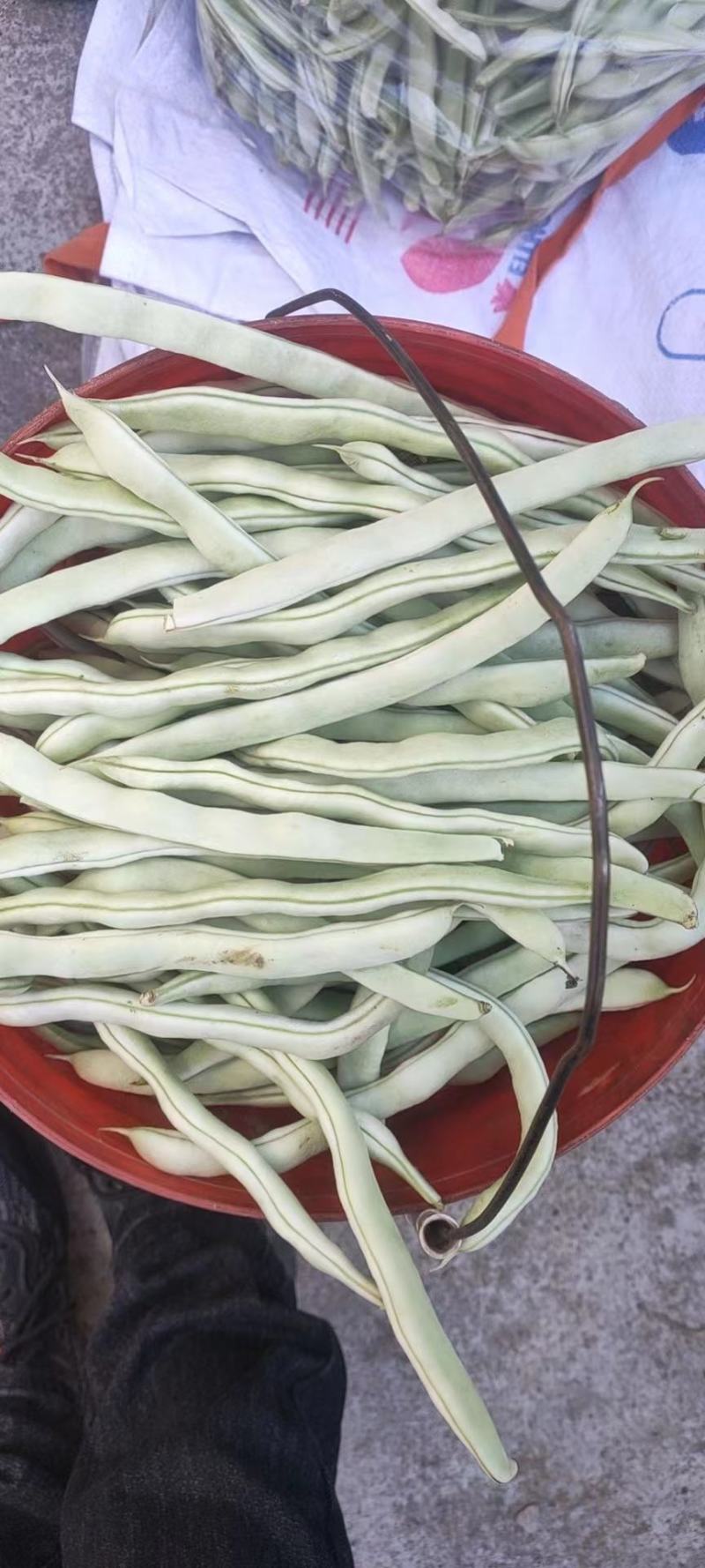 精品白豆，品质保证，物美价廉，诚信代办。