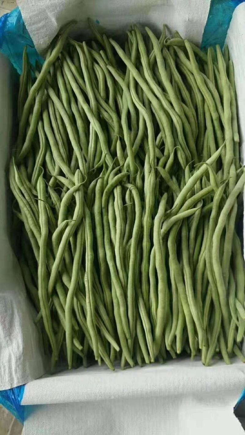 精品白豆，品质保证，物美价廉，诚信代办。