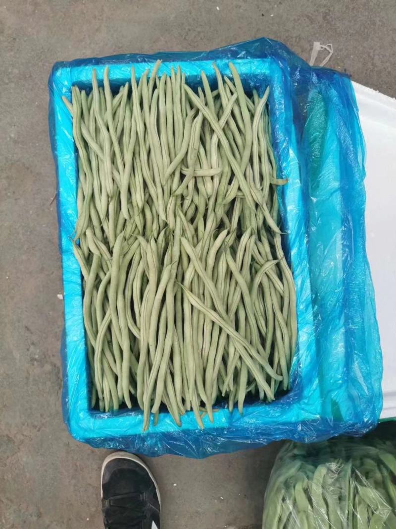 精品白豆，品质保证，物美价廉，诚信代办。