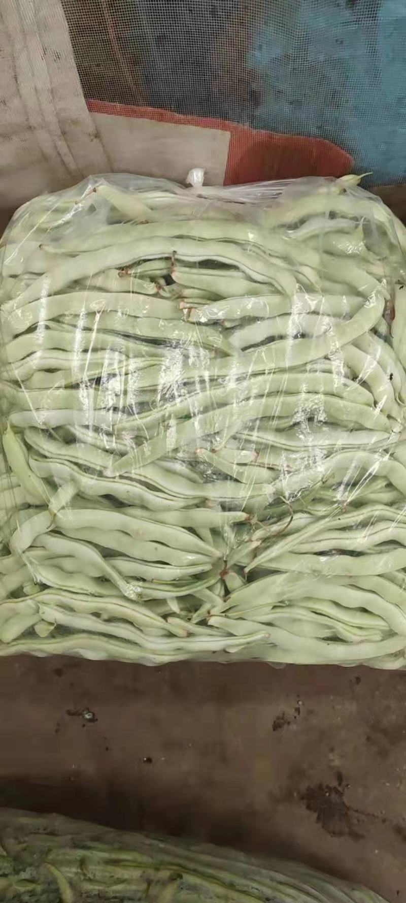 精品白豆，品质保证，物美价廉，诚信代办。