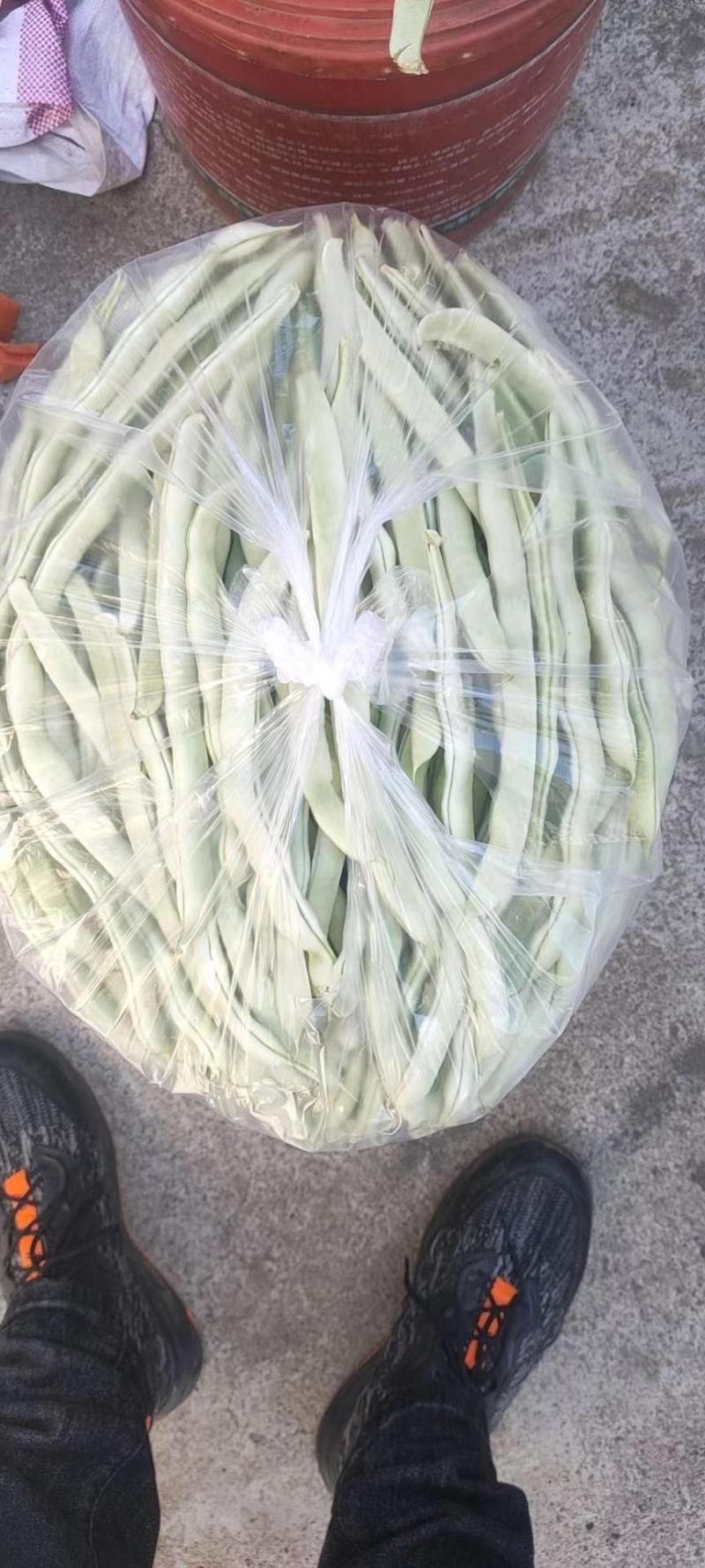 精品白豆，品质保证，物美价廉，诚信代办。