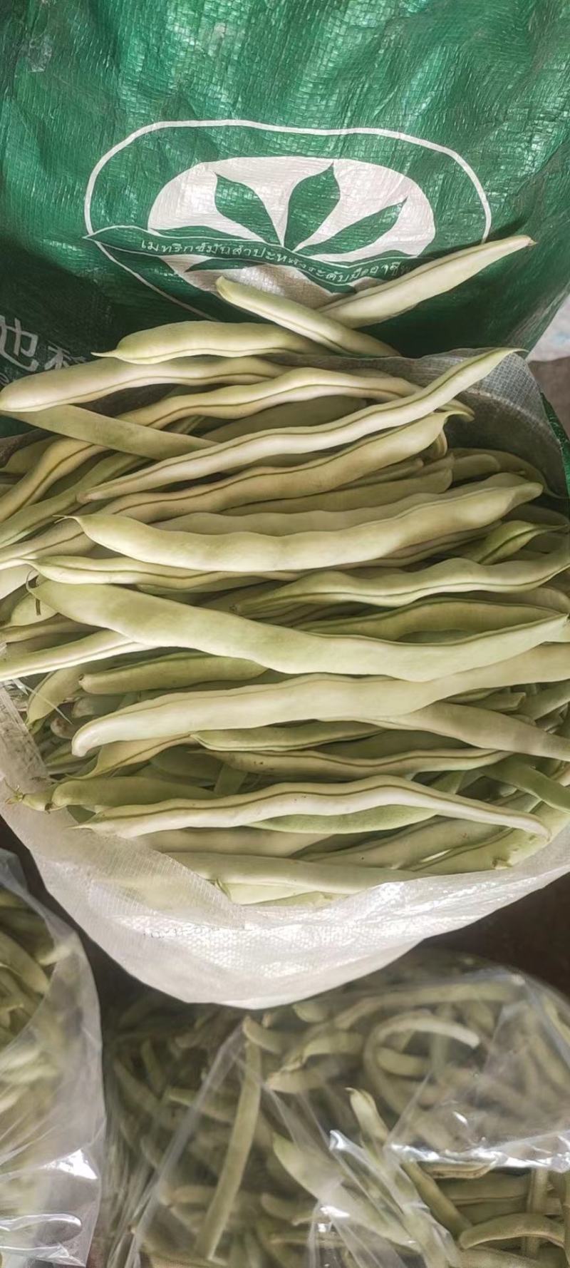 精品白豆，品质保证，物美价廉，诚信代办。