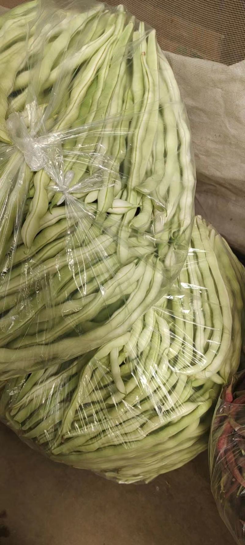 精品白豆，品质保证，物美价廉，诚信代办。