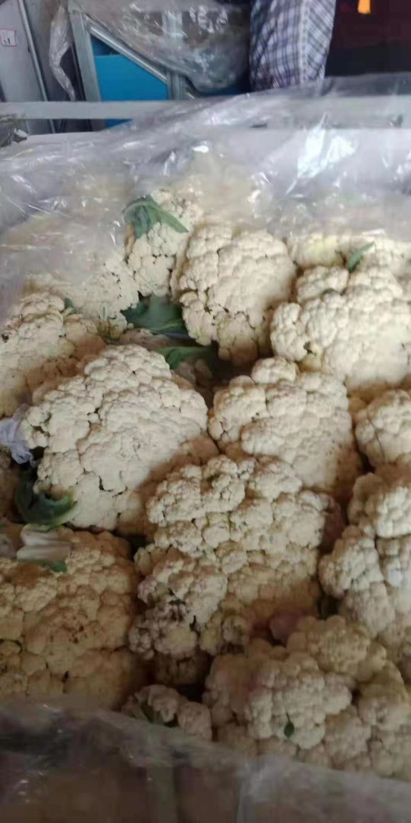 精品菜花，诚信代办，物美价廉，产地直发。