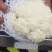 精品菜花，诚信代办，物美价廉，产地直发。