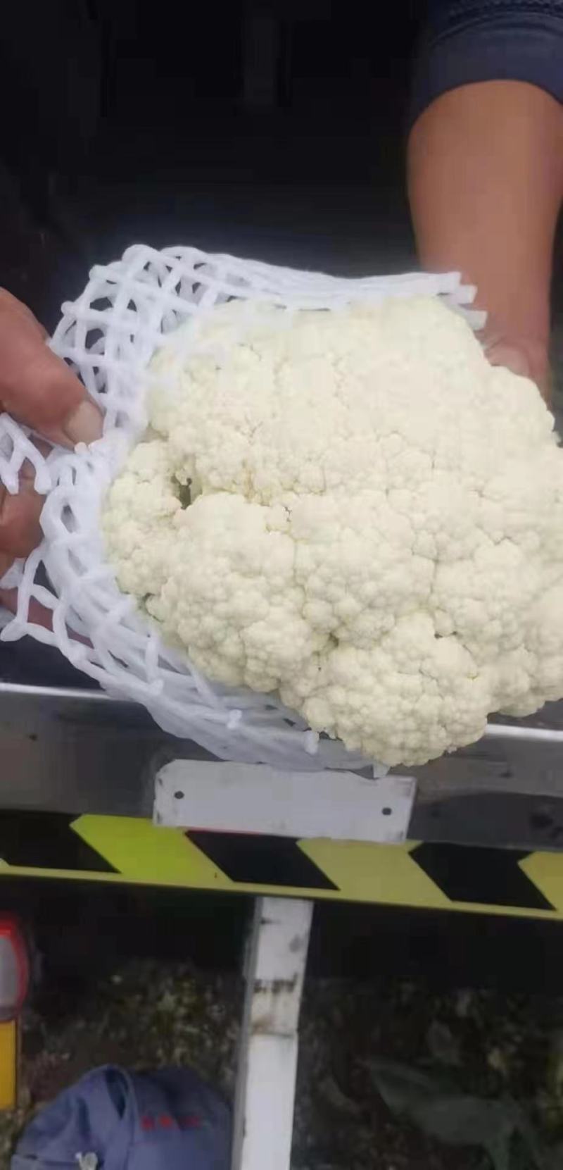 精品菜花，诚信代办，物美价廉，产地直发。