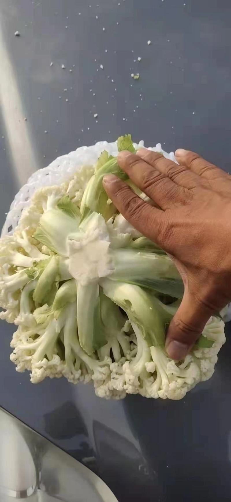 精品菜花，诚信代办，物美价廉，产地直发。