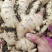 自家种植安徽阜阳临泉生姜，大黄姜，小黄姜批发价不收代办费