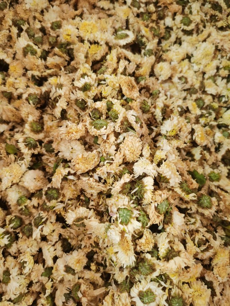 贡菊农副产品包邮干净无杂质质量保证