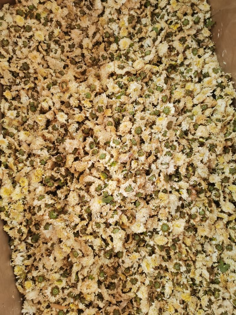 贡菊农副产品包邮干净无杂质质量保证