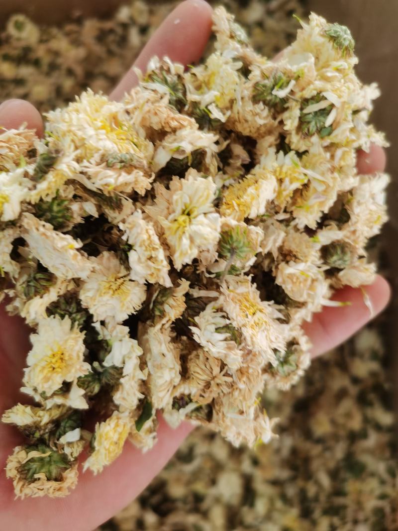 贡菊农副产品包邮干净无杂质质量保证