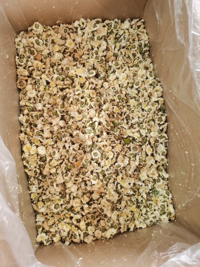 贡菊农副产品包邮干净无杂质质量保证