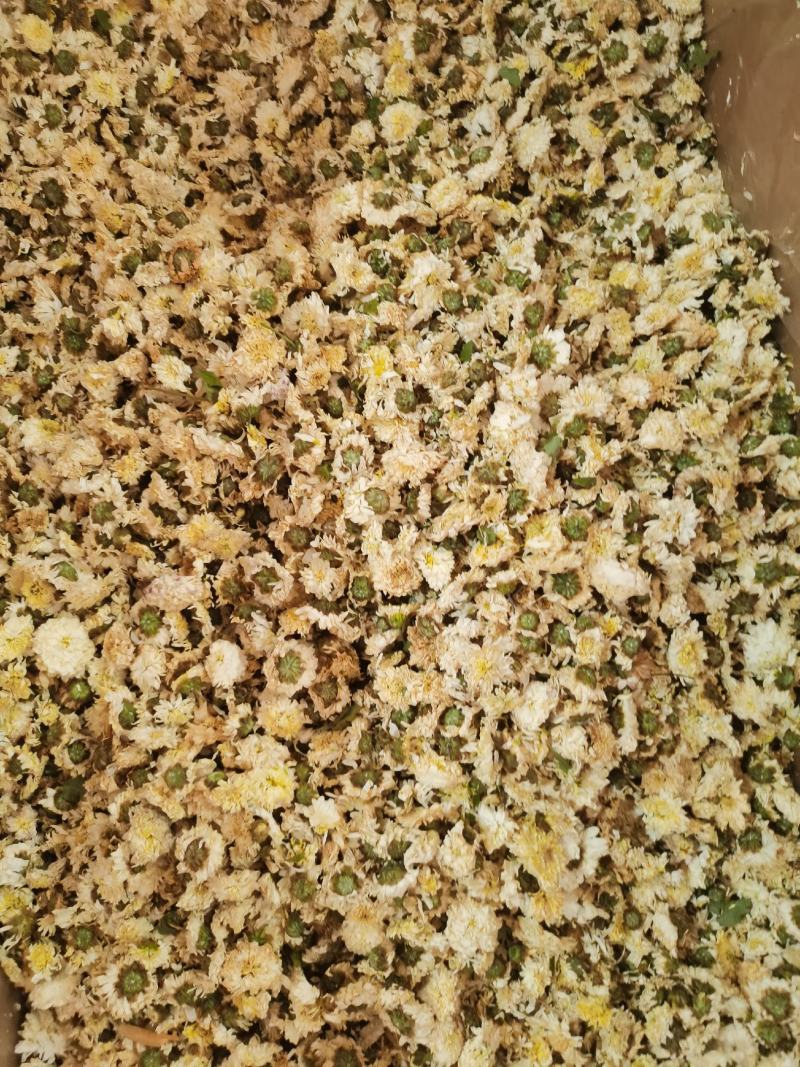 贡菊农副产品包邮干净无杂质质量保证