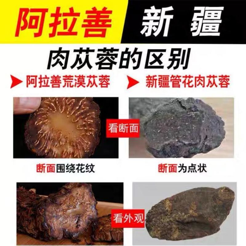 肉苁蓉切片阿拉善泡酒料滋补品内蒙古正品油苁蓉软大芸泡茶野