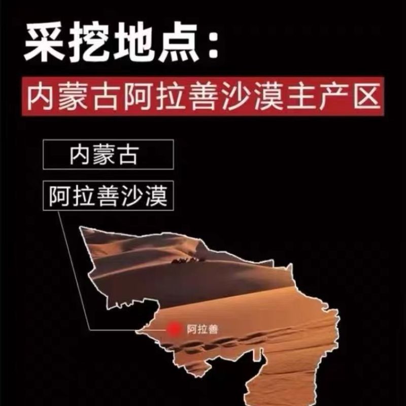 肉苁蓉切片阿拉善泡酒料滋补品内蒙古正品油苁蓉软大芸泡茶野