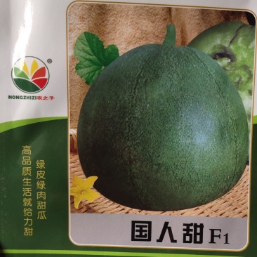 国人甜绿皮绿肉甜瓜种子，早熟。单瓜550克左右。
