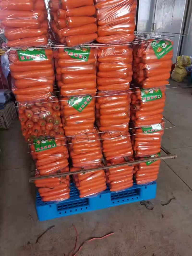 精品中条胡萝卜🥕少许黑头天天吃货