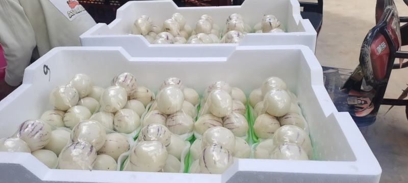 石林人参果