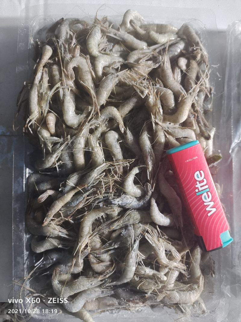 河虾