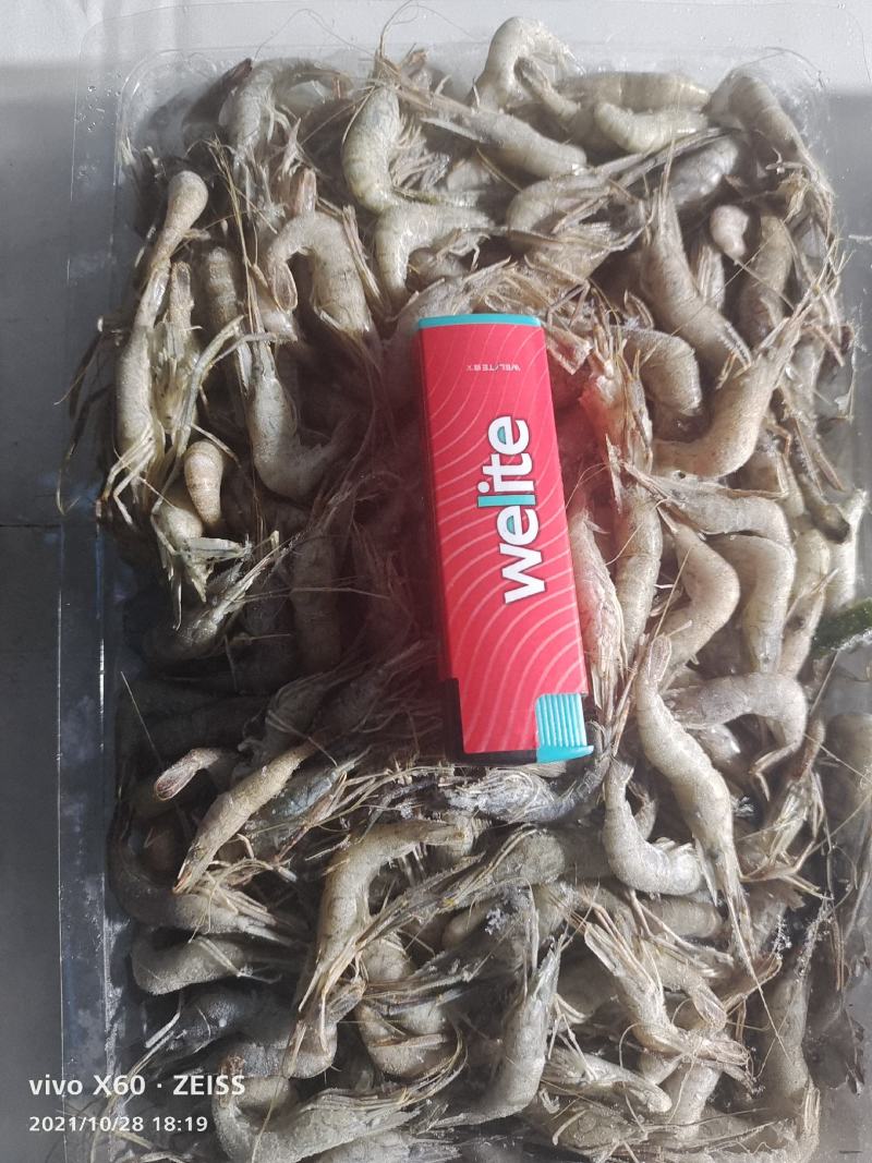 河虾