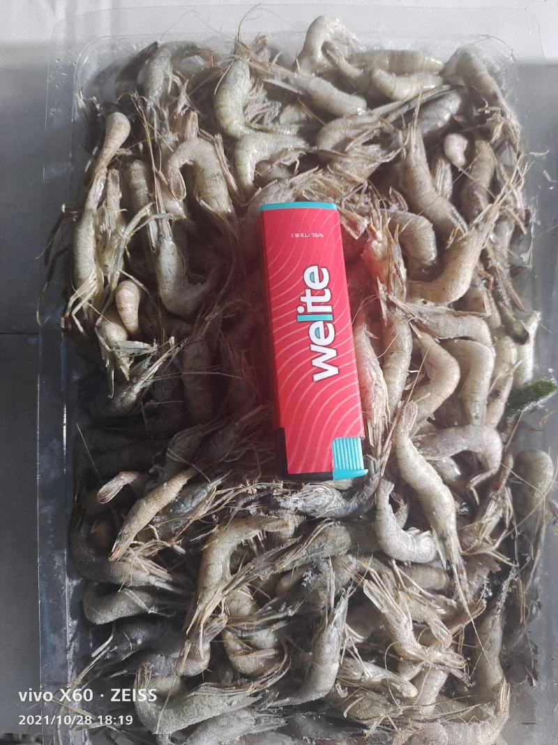 河虾