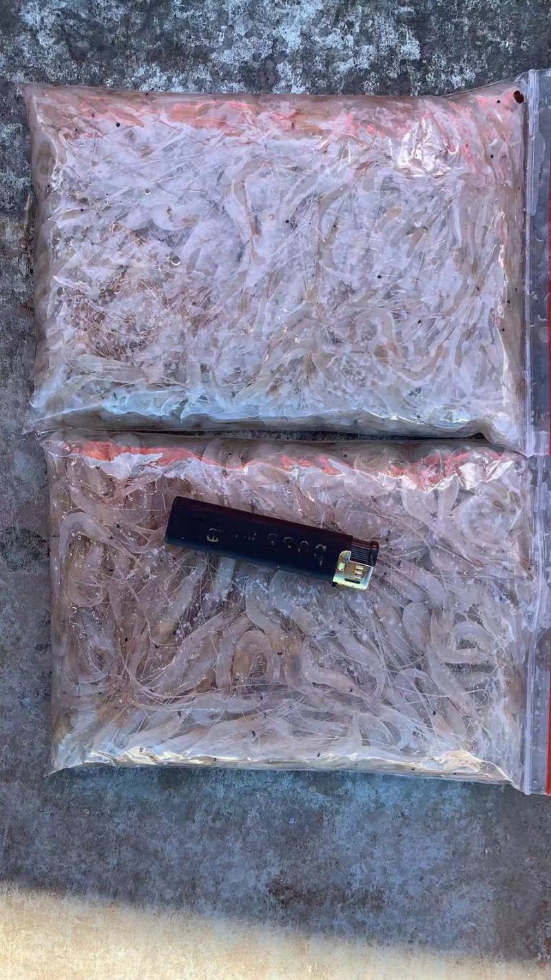 白虾尾