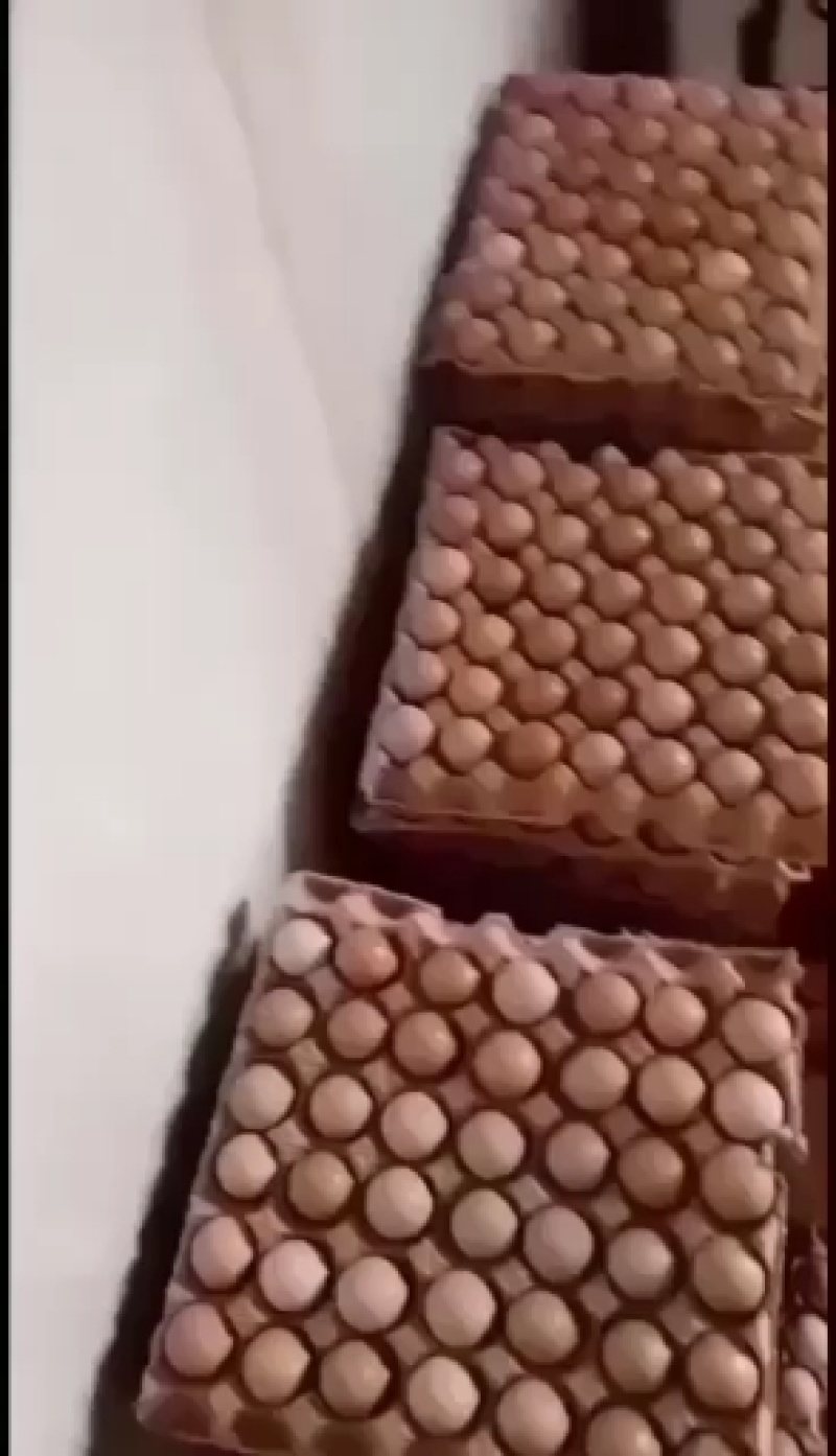 优质新鲜野鸡蛋营养丰富建康美味保证质量破损保陪需要的老板