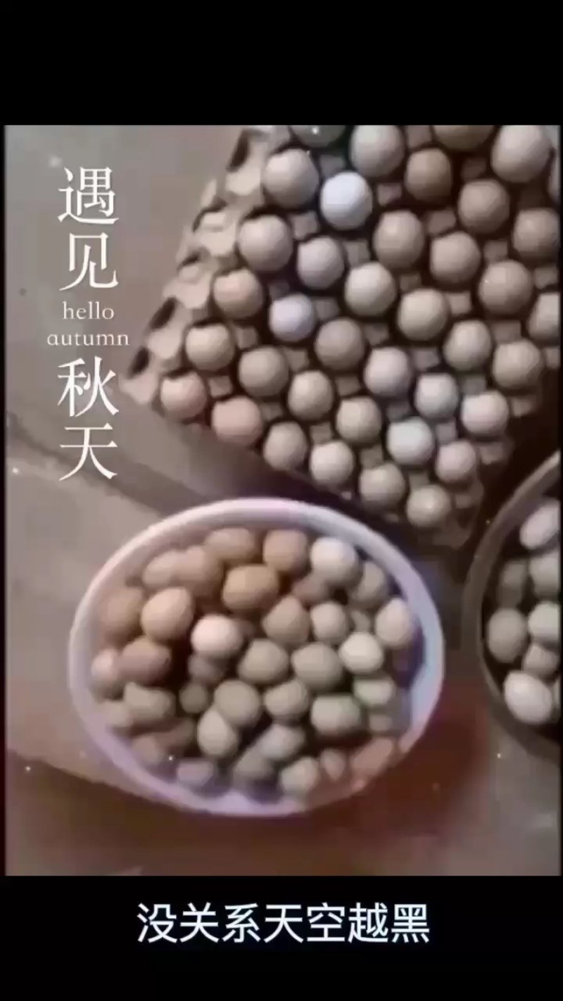 优质新鲜野鸡蛋营养丰富建康美味保证质量破损保陪需要的老板