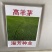 进口四季常青草种高羊茅草坪种子四季青早熟绿化种耐踏