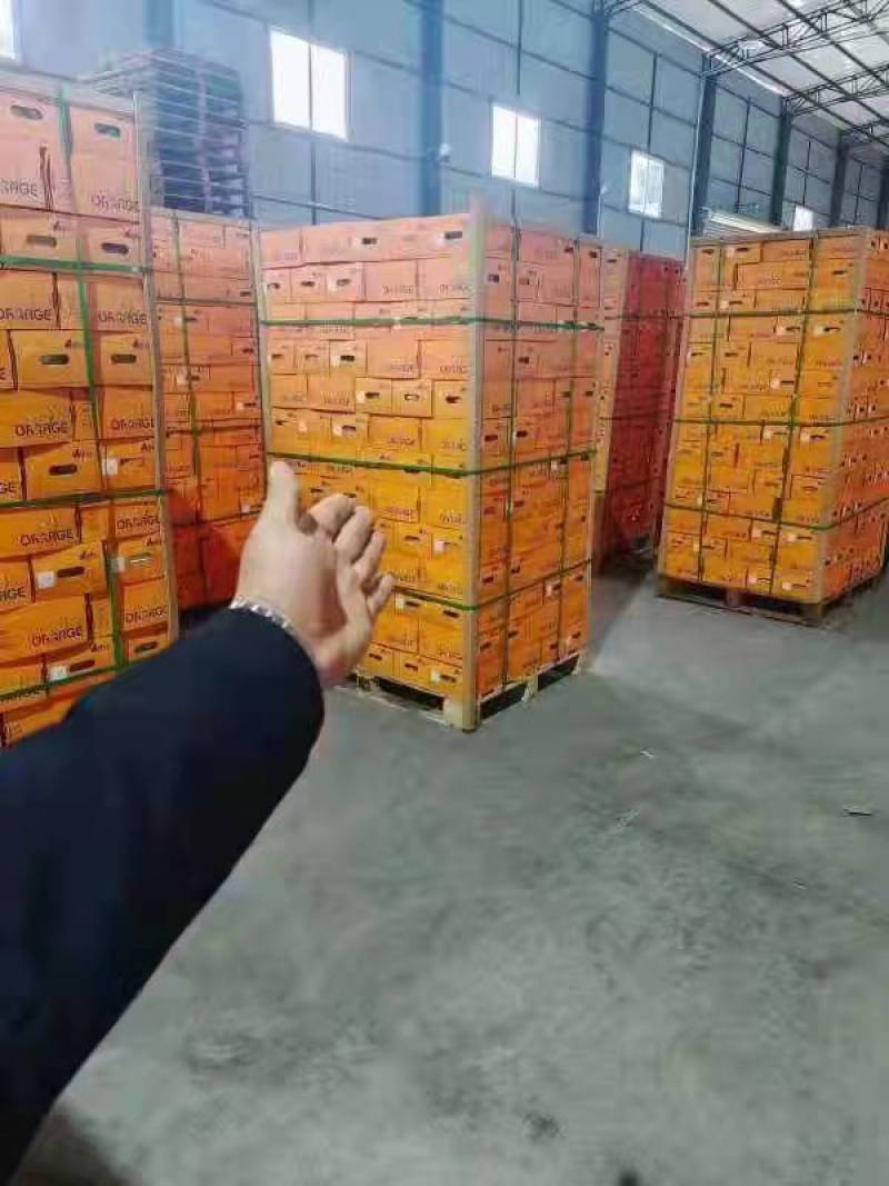 云南褚橙冰糖橙口感香甜一级精品果独立包装反馈视频