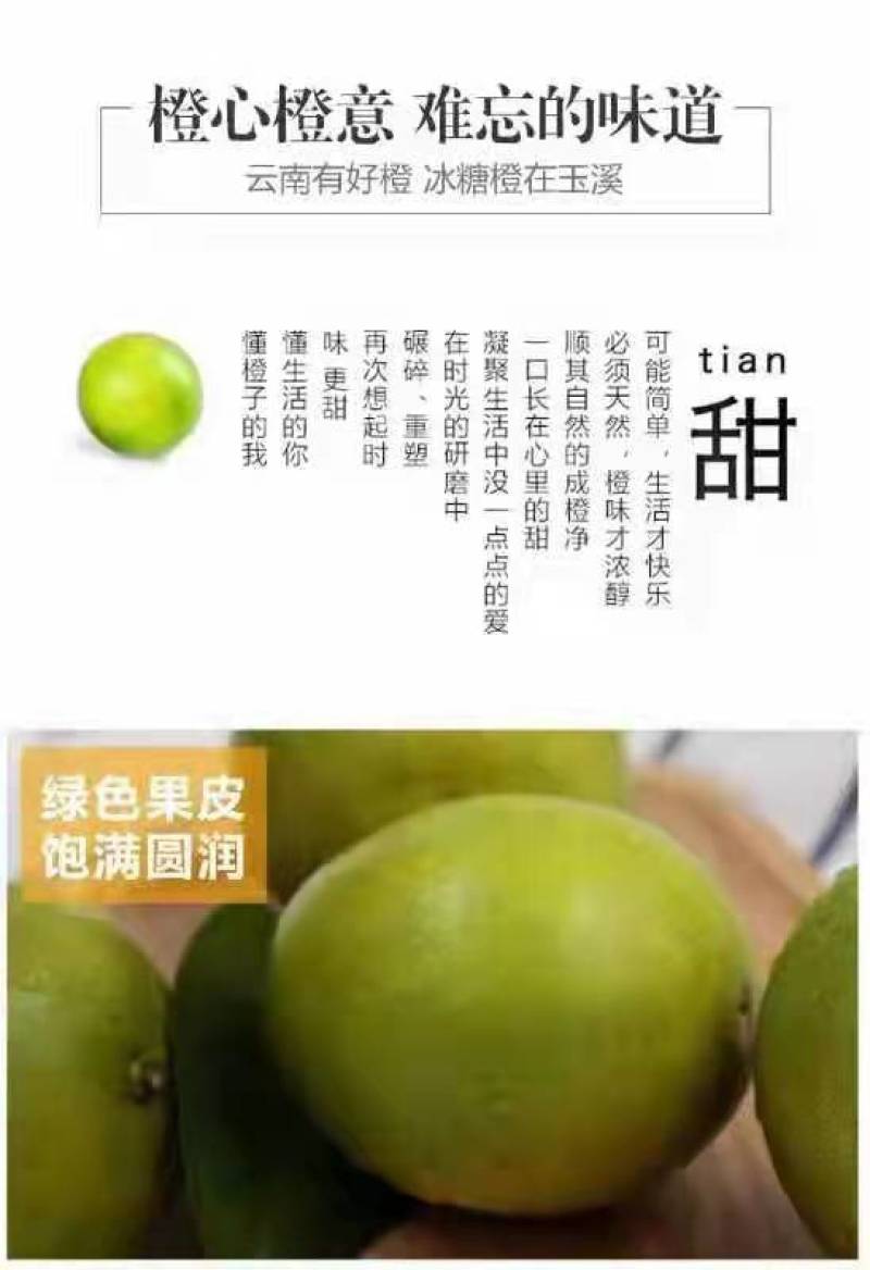 云南褚橙冰糖橙口感香甜一级精品果独立包装反馈视频
