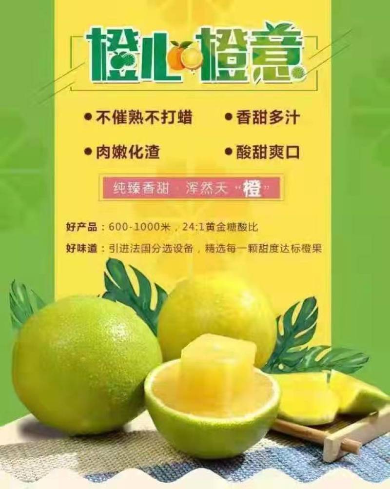 云南褚橙冰糖橙口感香甜一级精品果独立包装反馈视频