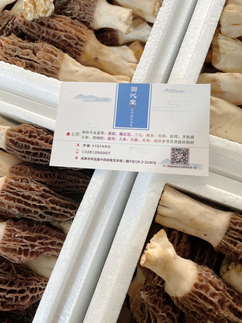 新鲜羊肚菌高原羊肚菇反季干货菌子煲汤养生头茬羊肚菌