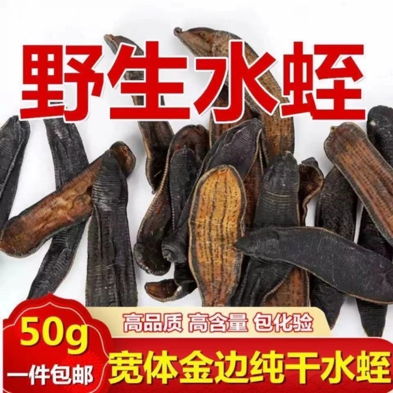 【一手货源】吊杆水蛭蚂蟥清水吊杆水蛭货源稳定