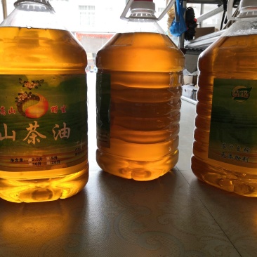 云南高山茶油老品种野生茶籽油无霉籽空壳自榨