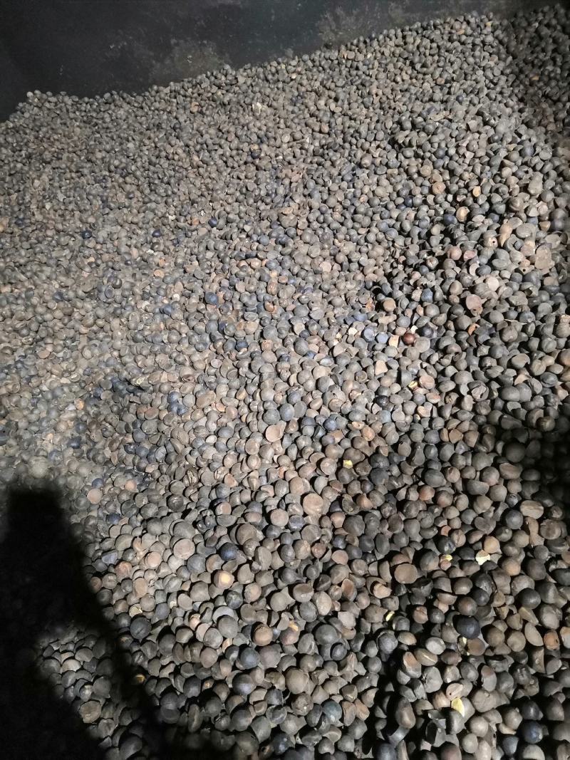 云南高山茶油老品种野生茶籽油无霉籽空壳自榨
