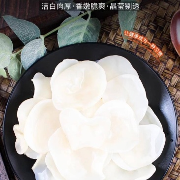 银白木耳(鲜货)自产自销，味道鲜美，量大保证，全国发货