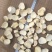 产地园区直供杏鲍菇大中小干片颜色好煲汤佳品